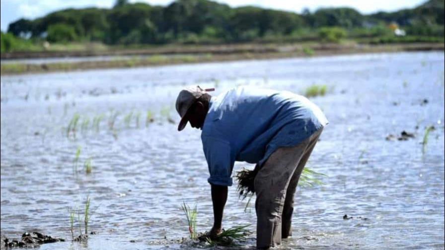 Productores rechazan proyecto de ley tasa cero aranceles; invitan buscar alternativas Productores rechazan proyecto de ley tasa cero aranceles; invitan buscar alternativas