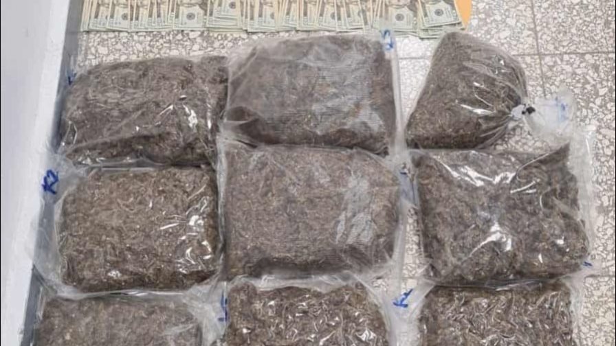 DNCD informa ha decomisado más de 425 mil gramos de drogas en lo que va de año