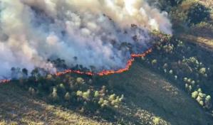 Incendio en sierra de Santiago, norte de M&eacute;xico, ha afectado 1,200 hect&aacute;reas