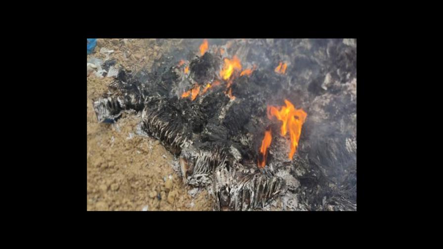 Encuentran cientos de medicamentos y pruebas de COVID-19 en vertedero de Puerto Plata