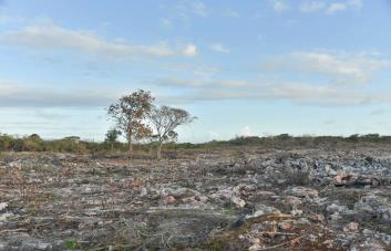 Así luce el terreno donde se hará el aeropuerto de Pedernales