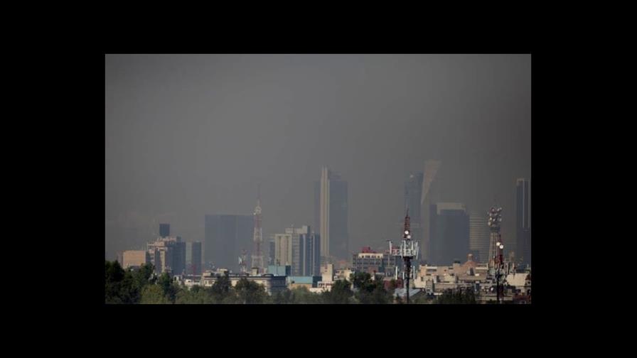 La casi totalidad de la población mundial respira aire contaminado, según la OMS La casi totalidad de la población mundial respira aire contaminado, según la OMS