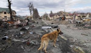 La guerra en Ucrania afecta a más de mil millones de personas en el mundo