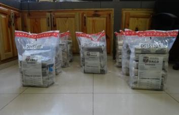 Incautan 64 paquetes de presunta cocaína en Puerto Caucedo
