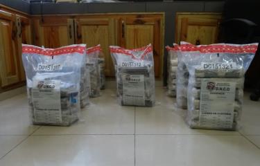 Incautan 64 paquetes de presunta cocaína en Puerto Caucedo