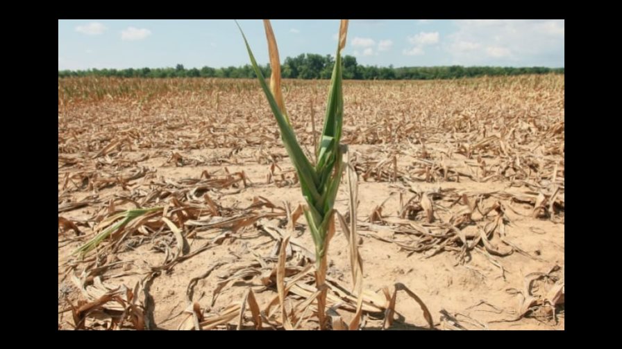 Expertos del clima de la ONU piden un cambio radical de la manera de vivir