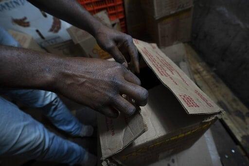 Haitianos en México enfrentan retos para rehacer su vida