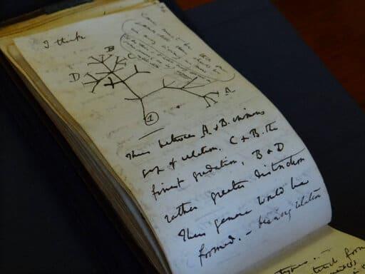 Devuelven dos cuadernos de Darwin desaparecidos hace 20 años
