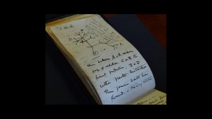 Devuelven dos cuadernos de Darwin desaparecidos hace 20 años Devuelven dos cuadernos de Darwin desaparecidos hace 20 años