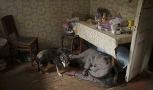 Un reguero de cadáveres y tanques quemados, las heridas de guerra de Bucha