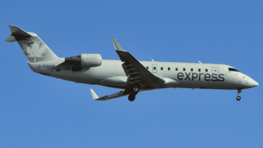 Aeronave en la que encontraron 200 paquetes de cocaína se especializa en vuelos de lujo