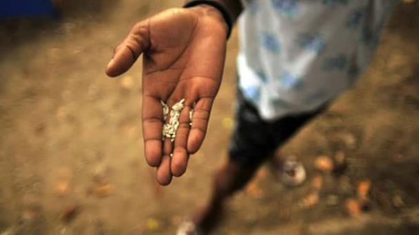 La cosecha de arroz languidece en Haití