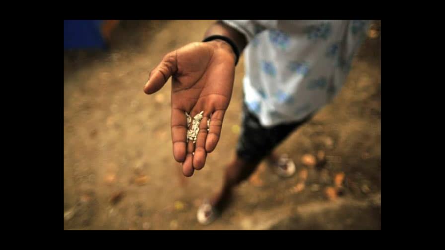 La cosecha de arroz languidece en Haití