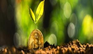 Secretaria del Tesoro de EEUU pedir&aacute; reglamentar m&aacute;s las criptomonedas