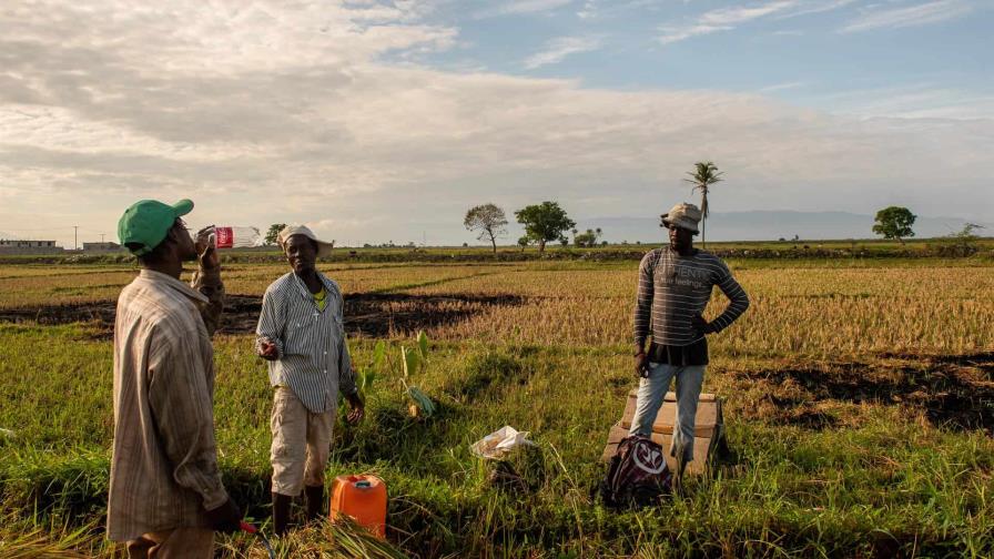 Un abogado recibió un disparo: Hartazgo en Haití ante un paralizado sistema judicial