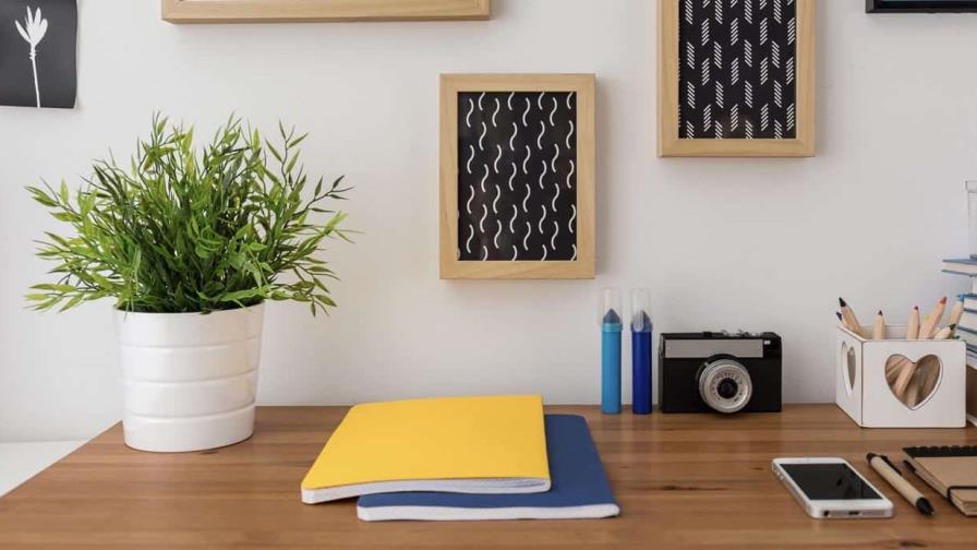 Motivos para poner plantas en tu escritorio