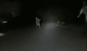 Video | Agentes de la Policía rescatan a niño que corría en la oscuridad