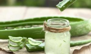 Aprende a hacer una crema casera de aloe vera