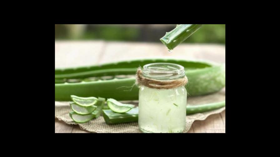 Aprende a hacer una crema casera de aloe vera