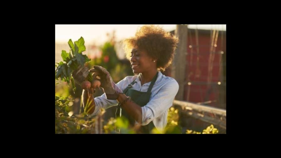 Jardinería: beneficios para tu salud Jardinería: beneficios para tu salud