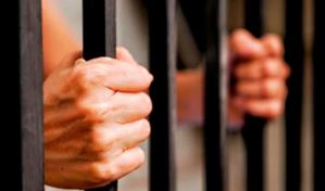 Capturan delincuente con más de 20 denuncias por arrebato de carteras y celulares