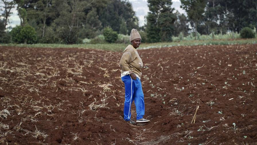 Cómo la guerra en Ucrania pone en riesgo la producción de alimentos a nivel mundial