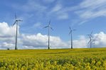 La producción de energía renovable creció un 9% en el mundo en 2021 La producción de energía renovable creció un 9% en el mundo en 2021
