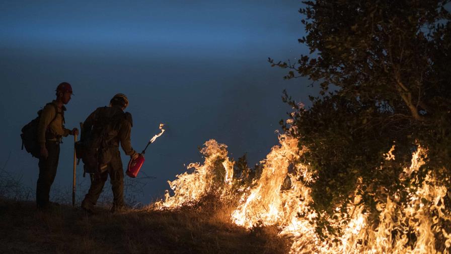 Contienen incendio en planta de alimentos de California