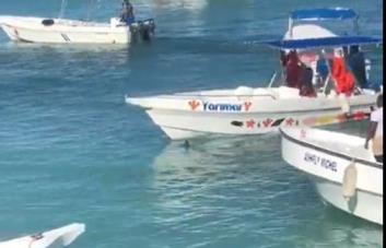Matan tiburón azul en playa Bayahíbe