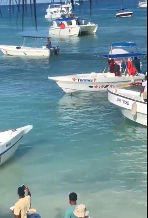 Matan tiburón azul en playa Bayahíbe