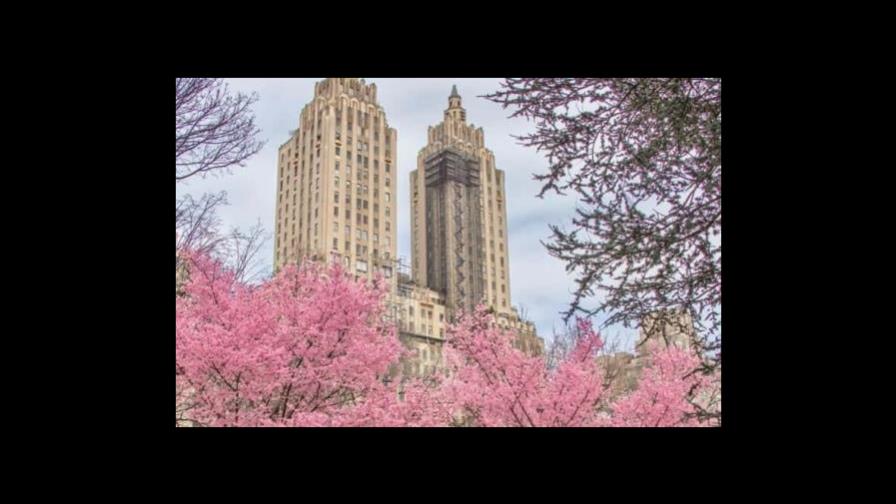Cinco actividades para hacer en NY durante la Semana Santa