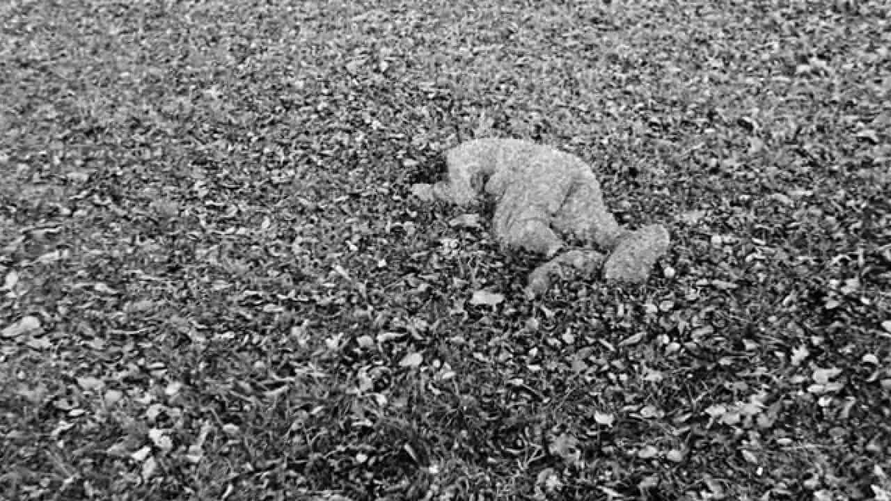 Durante su estancia en el Campo de Mauthausen, sacó un gran número de fotografías.