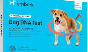 En Estados Unidos est&aacute; de moda hacer pruebas de ADN a los perros