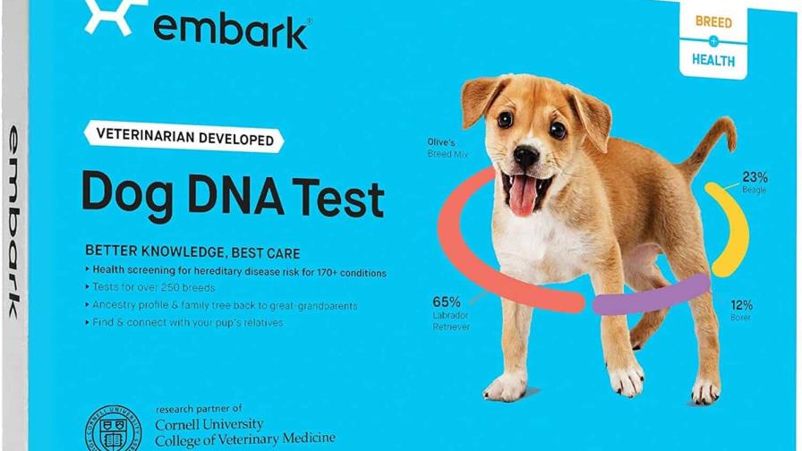 En Estados Unidos está de moda hacer pruebas de ADN a los perros