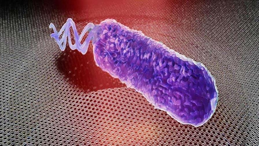El grafeno detecta si una bacteria sigue viva después de usar un antibiótico