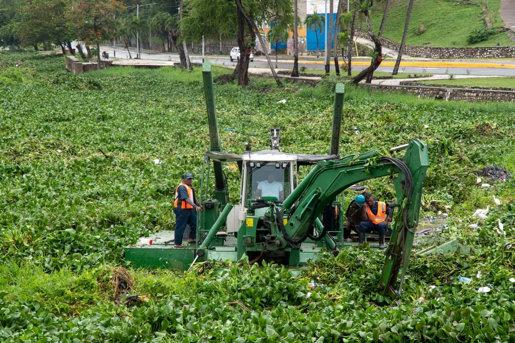 La Armada trata de recoger las lilas