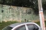 Denuncian pared perimetral de la cárcel pública de El Seibo está a punto de colapsar Denuncian pared perimetral de la cárcel pública de El Seibo está a punto de colapsar