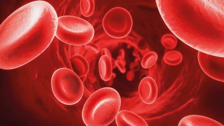 Presentan avances médicos para pacientes con hemofilia