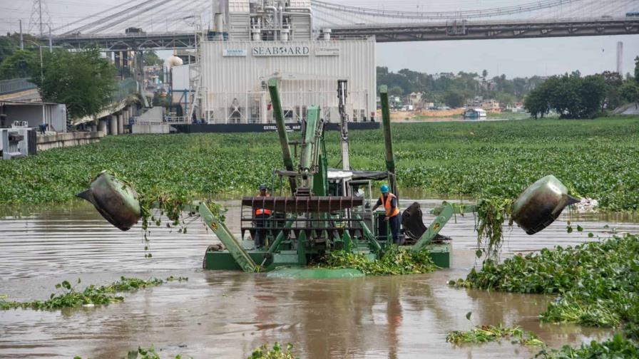 Liberan toneladas de lilas hacia el Mar Caribe