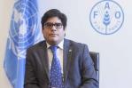 El desafío ahora es promover una dieta saludable, asegura la FAO