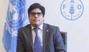 El desafío ahora es promover una dieta saludable, asegura la FAO