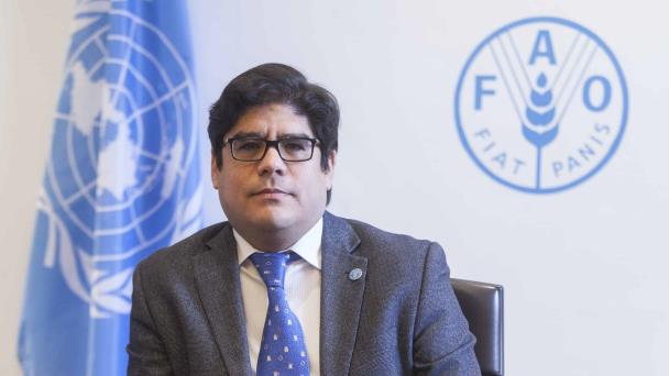 República Dominicana debe prepararse para una escalada de precios prolongada, advierte la FAO