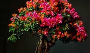 Una jornada para conmemorar el Día Mundial de la Tierra