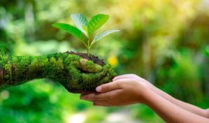 El planeta te suplica que lo protejas y vuelvas a lo básico