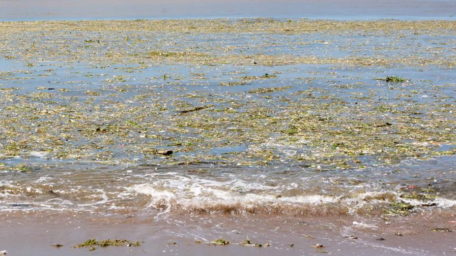 Residuos continúan acumulados en el mar Caribe