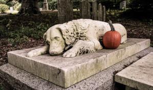 El cementerio de mascotas más antiguo de Italia y la gallina de Mussolini