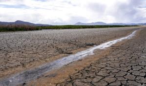 Sequ&iacute;a en California obliga a reducir el consumo de agua