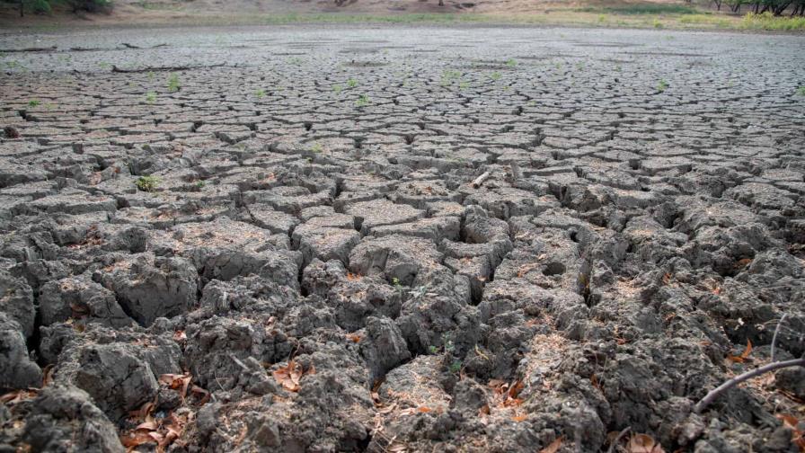 Estudio revela dominicanos atribuyen al Gobierno el cambio climático