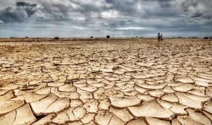 El suelo de América es clave para mitigar cambio climático, dice estudio