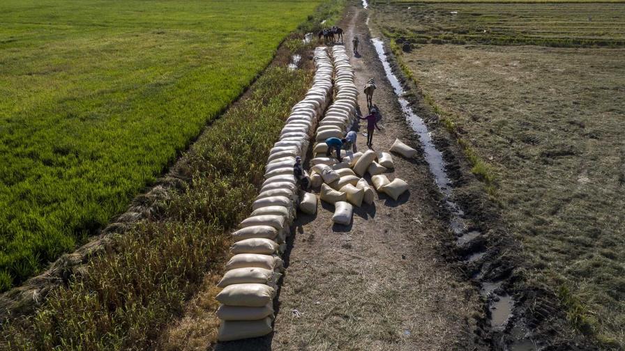 Iberoamérica busca su soberanía alimentaria